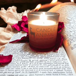 Old Love Letter Soy Candle, 8 oz.