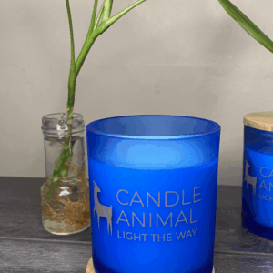 Guardian's Essence Candle