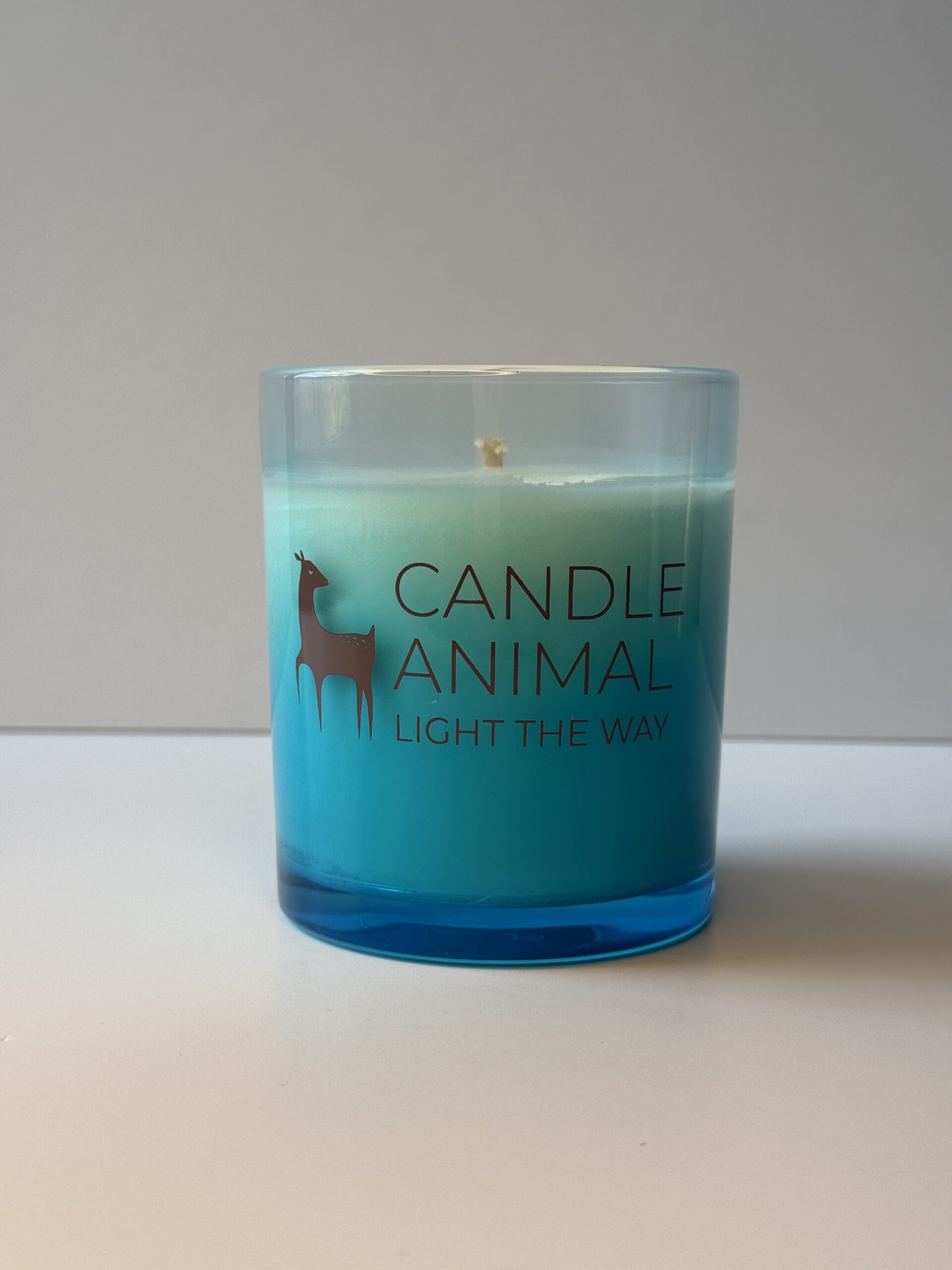 Frozen Garden Holiday Candle