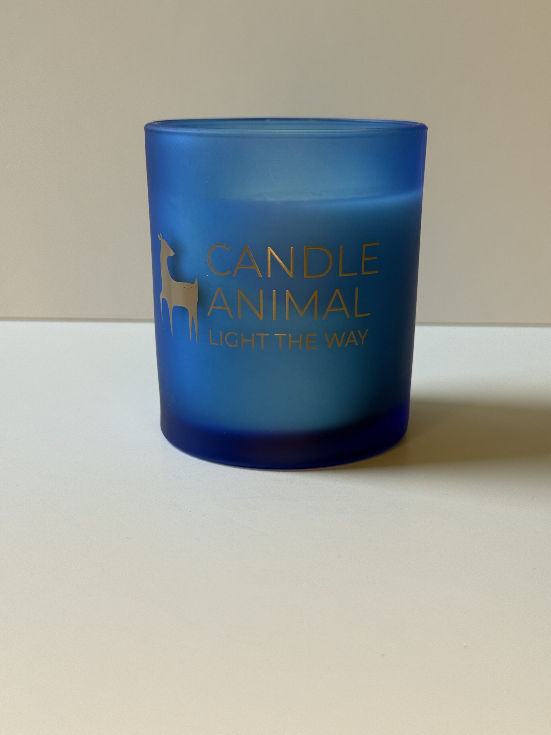 Guardian's Essence Candle