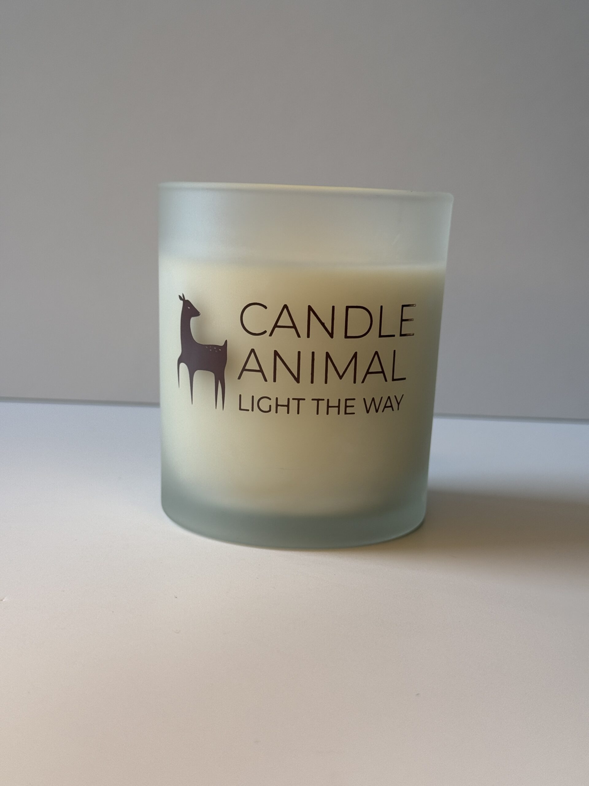 Light of the World Candle