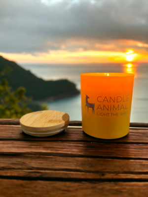 Endless Summer Soy Candle
